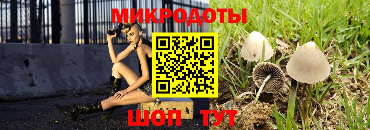 как найти наркотики  Псилоцибиновые грибы Cubensis  Вход с VPN  Озёрск 